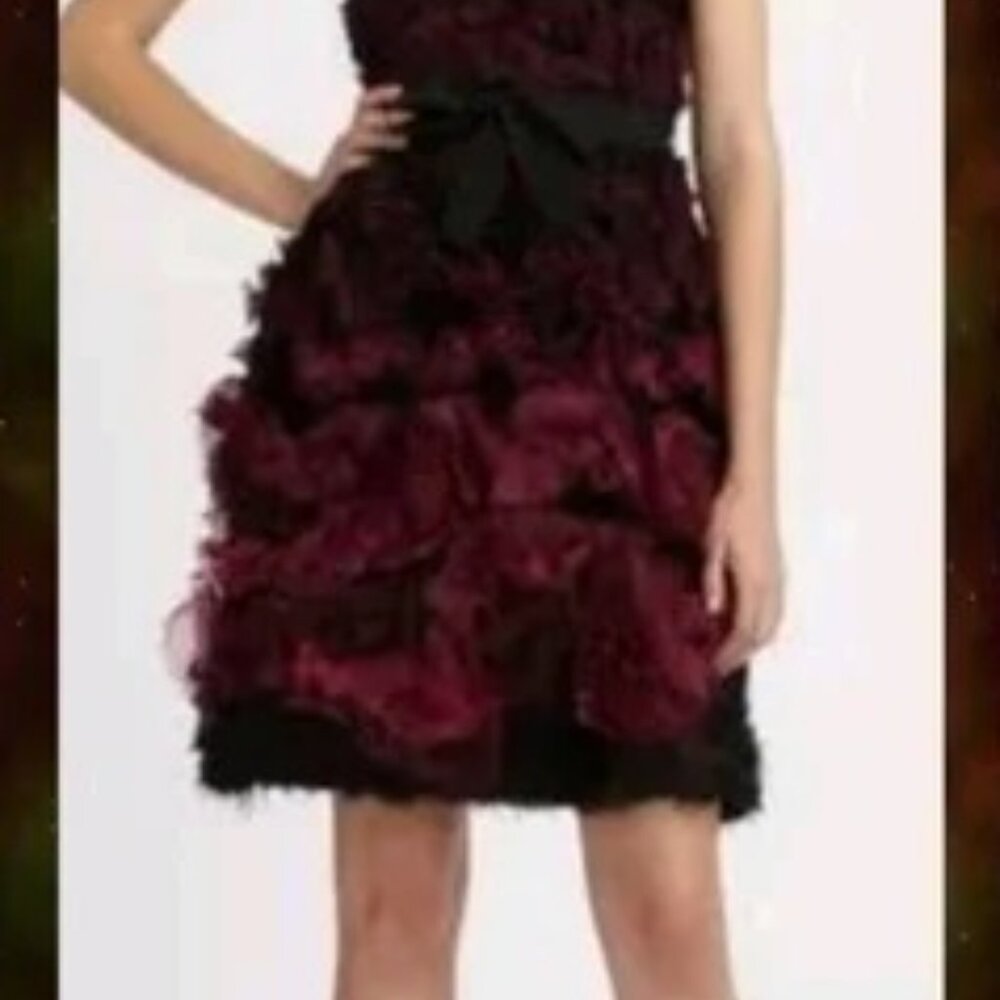 Worn only once! Vintage Monique Lhuillier - Ombre Ruffled Tiered Juneberry Dress - Picture 2 of 9
